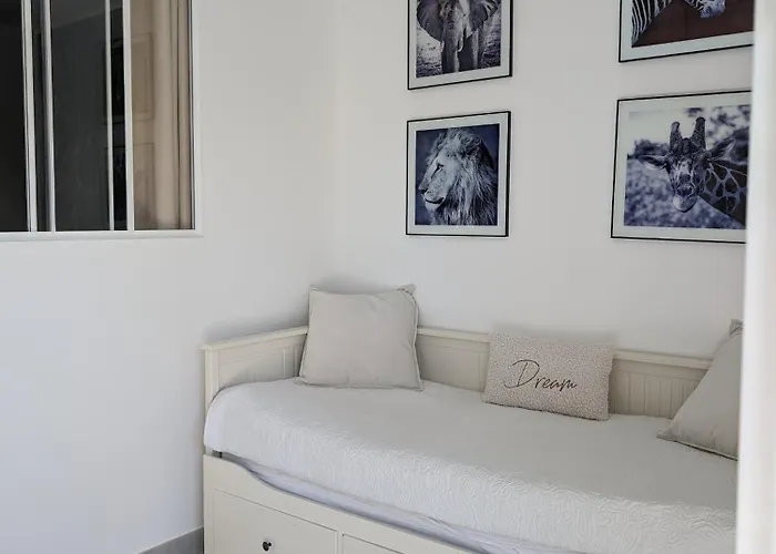 Appartement Cosy Au Calme A Cote Du Zoo Avec Balcon Et Parking Securise