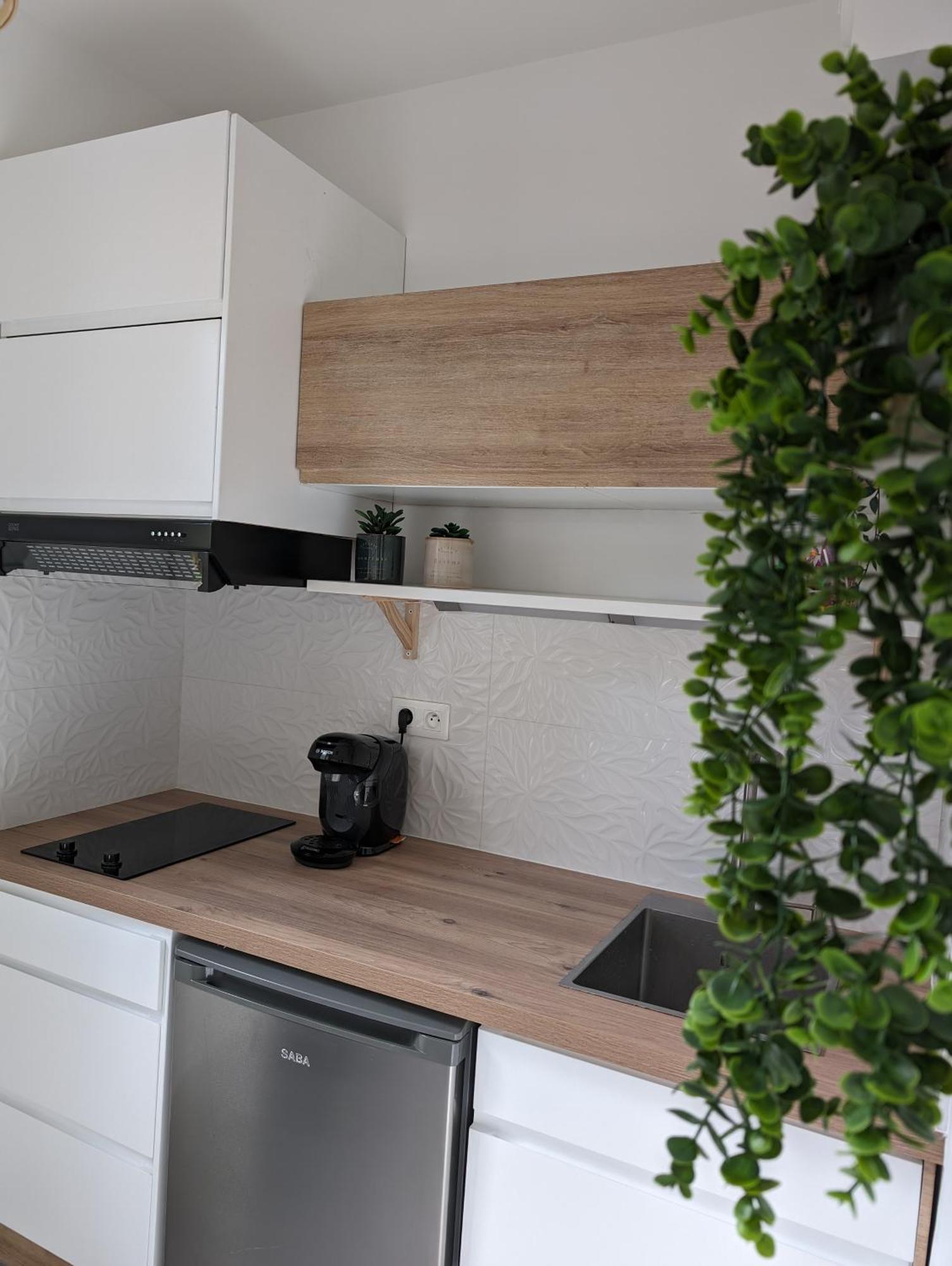Apartment Cosy Au Calme A Cote Du Zoo Avec Balcon Et Parking Securise Montpellier